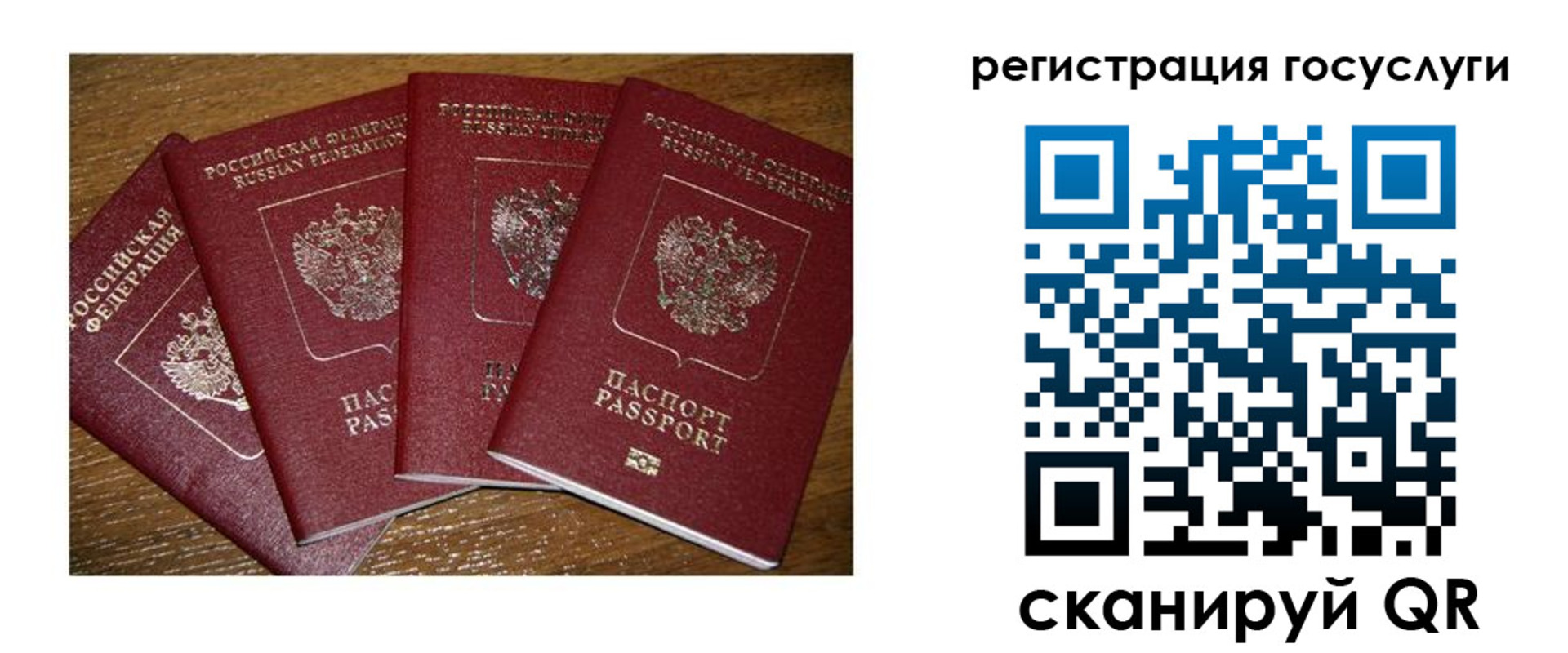 временная регистрация гарантия в Димитровграде