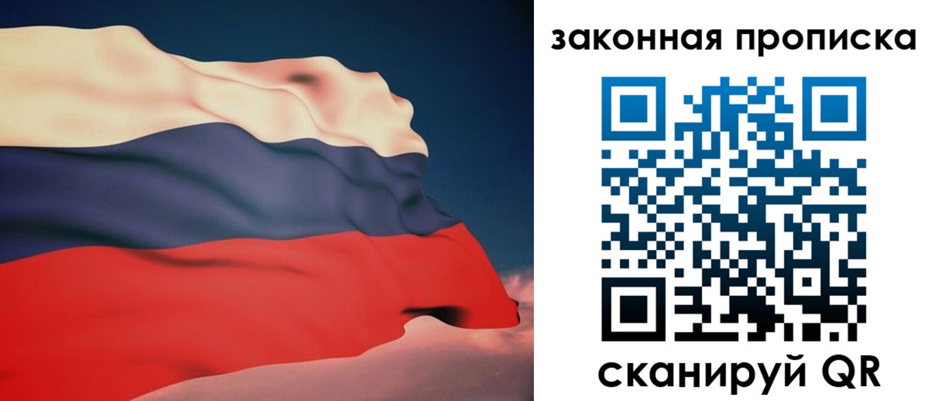 прописка законно в Димитровграде