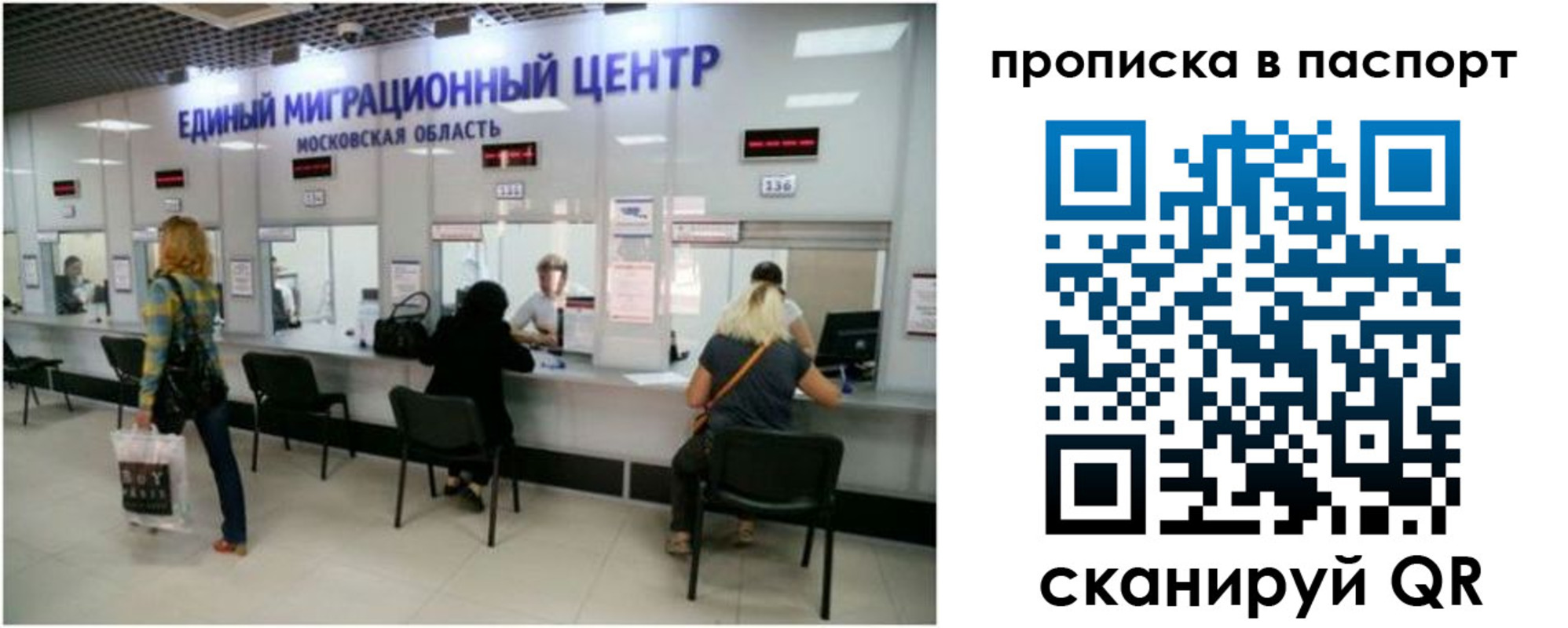 прописка в Димитровграде
