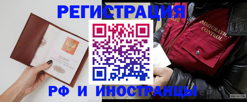 временная регистрация поиск в Димитровграде
